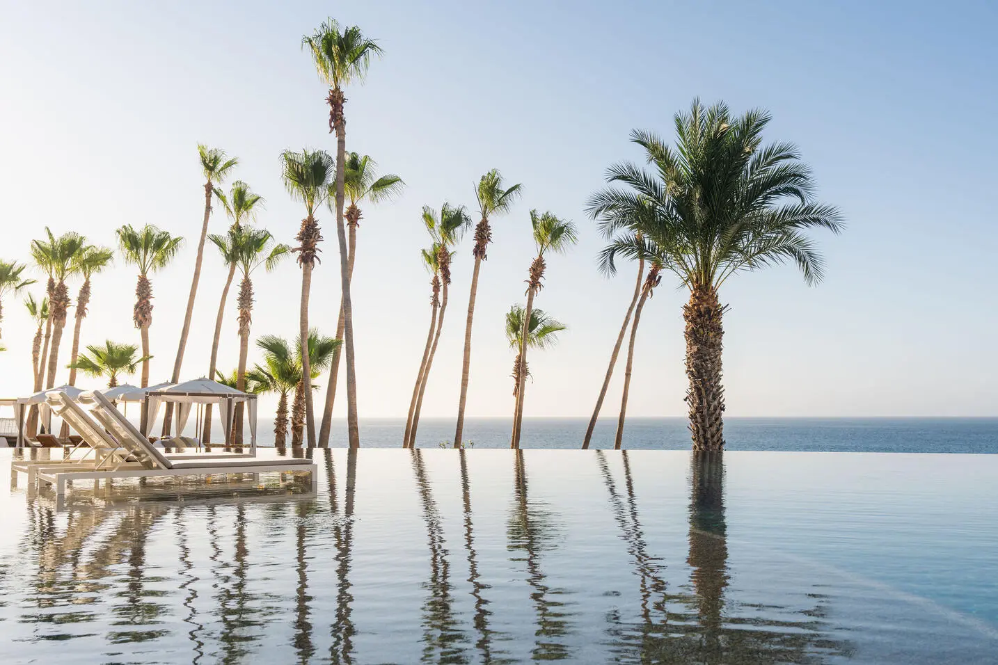 picture of infinity pool with benches and tree