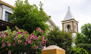 picture of church trees and flowers outside