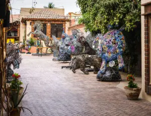 picture of aesthetic colorful animal structures