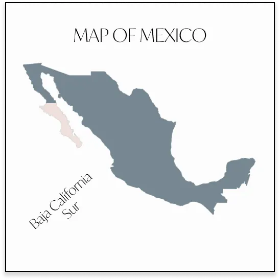 Mexico Map